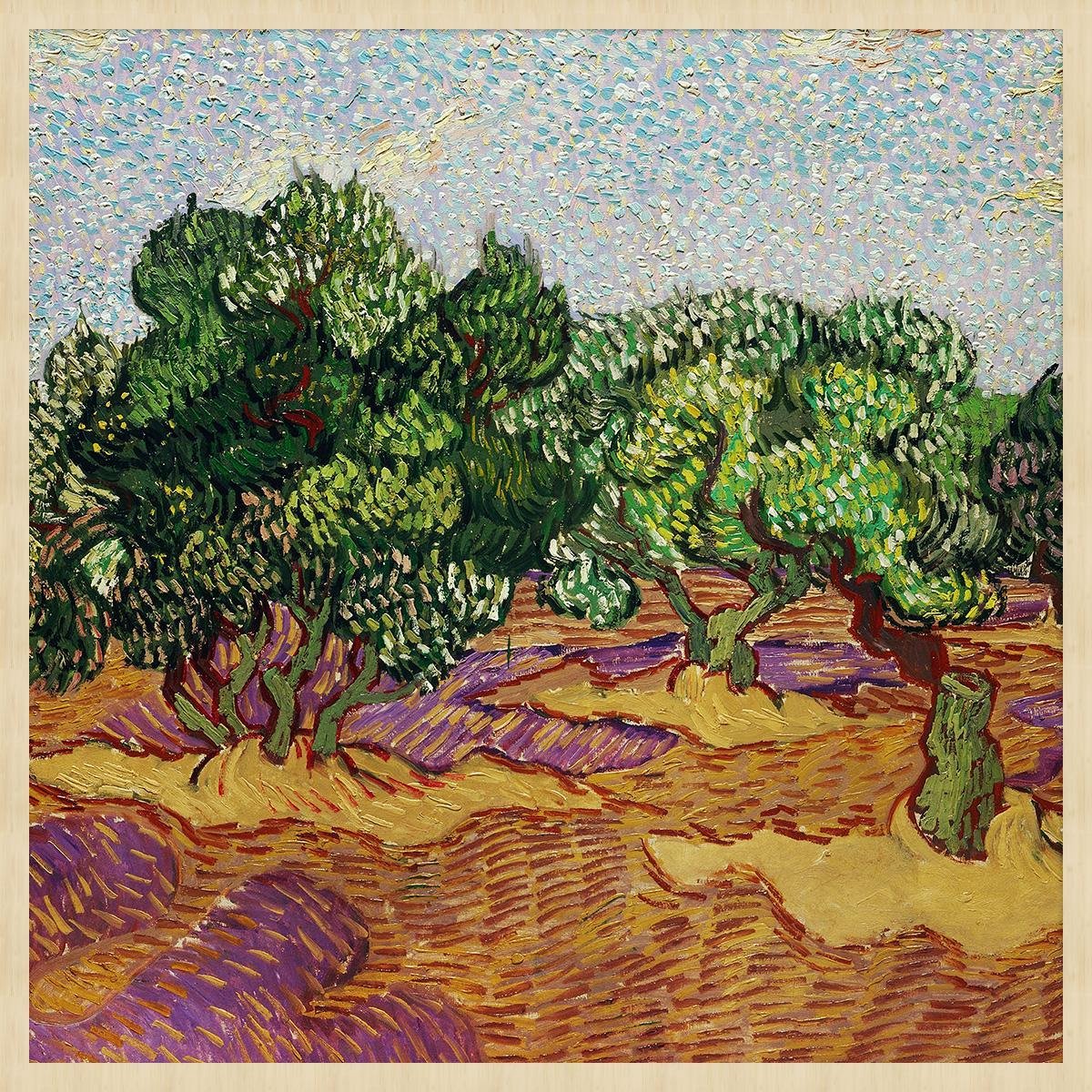 Schilderij - Olijfbomen - Vincent van Gogh - Collectie ART Facsimile - Forex met blanke lijst - 74x74cm