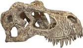 Komodo t-rex schedel - large - 1 stuks