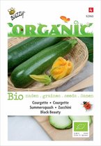 Buzzy® Organic Courgette Black Beauty (BIO)