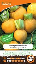 Protecta Groente zaden: Keukenraap Goudbal