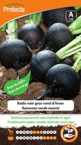 Protecta Groente zaden: Rammenas ronde zwarte