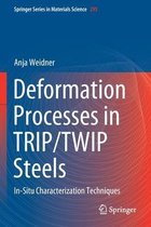 Deformation Processes in TRIP TWIP Steels