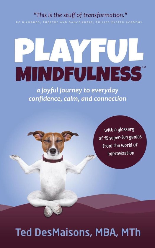 Playful Mindfulness - cover