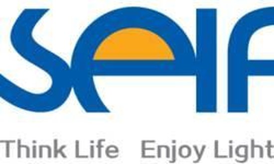 Driver LED 2.0 - 4.2 V/ DC 2.94 W 700 mA Courant Constant Self Electronics SLT3-700IS-1