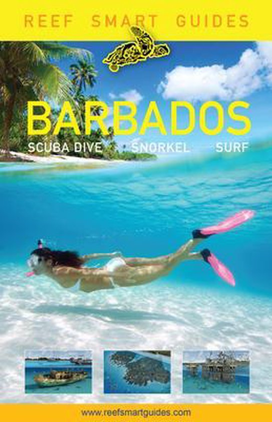 Foto: Reef smart guides barbados scuba dive snorkel surf best diving spots in the caribbean s barbados 