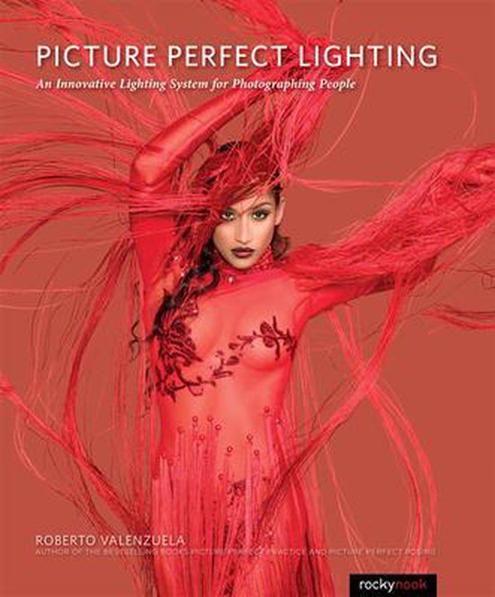 Picture Perfect Lighting - cover