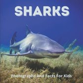 Sharks Photographs And Facts For Kids