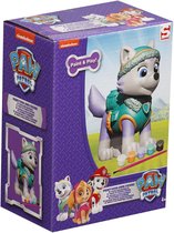 Paw Patrol - Beschilder Je Eigen Poppetje - Rocky