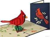Popcards popupkaarten - Rode Kardinaal Vogel Natuur Vriendschap Verjaardag Felicitatie pop-up kaart 3D wenskaart