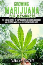 Growing Marijuana for Beginners