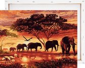 Olifanten in zonsondergang - Schilderen op nummer - Met frame - 40x50 cm