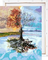 4 seizoenen boom - Schilderen op nummer - Met frame - 40x50 cm