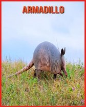 Armadillo