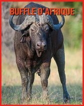 Buffle d'Afrique