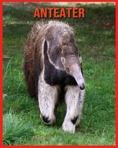 Anteater