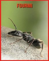 Fourmi