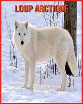 Loup Arctique