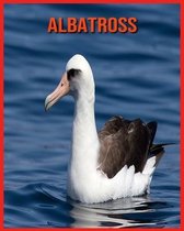 Albatross