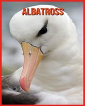 Albatross