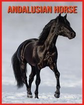 Andalusian Horse