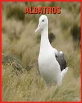 Albatros