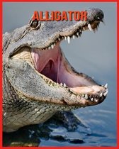 Alligator