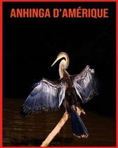 Anhinga d'Amerique