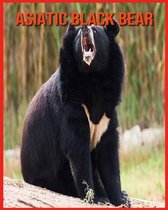 Asiatic Black Bear