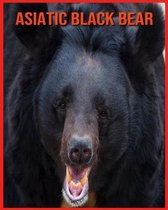 Asiatic Black Bear