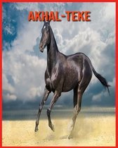 Akhal-Teke