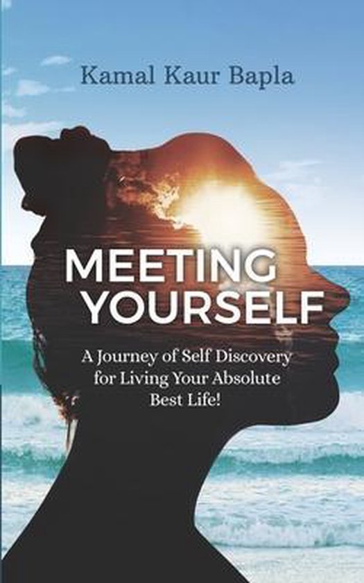 Meeting Yourself - cover