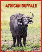 African Buffalo