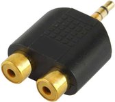 RCA vrouw naar 3,5 mm mannelijke jack audio Y-adapter (zwart)