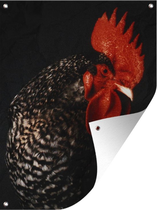 100 stuks natuurlijke hanenveren 14-20 cm ambachtelijke veren decoratie haan zadelveren fazantveren decoratie voor ambacht, doe-het-zelf, decoratie, kostuum, rekwisietdecoratie