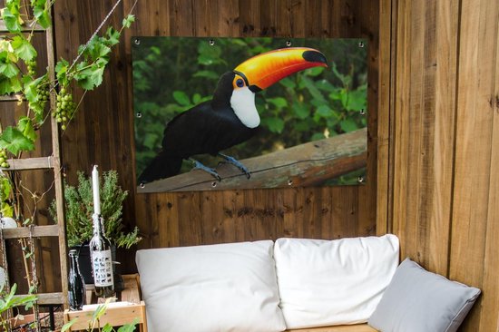 Un toucan assis sur un tronc d'arbre Affiche de jardin 120x80 cm - Toile de jardin / Toile d'extérieur / Peintures d'extérieur (décoration de jardin)