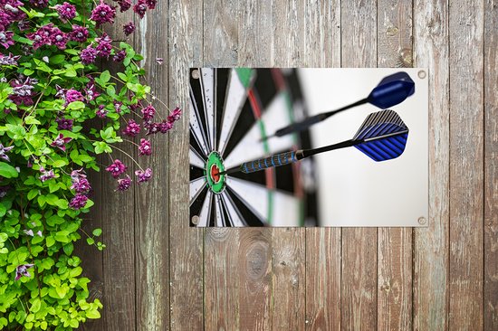 Gros plan d'une affiche de jardin de fléchettes toile lâche