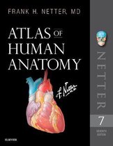 Netter Basic Science - Atlas of Human Anatomy E-Book