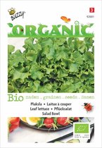 Buzzy Organic Pluksla Green Salad Bowl BIO