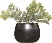 Atmosphera kunstplant met pot - H17 cm - Plant - Klein kamerplantje