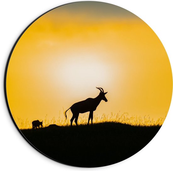 Dibond Wandcirkel - Silhouet van Geit in Grasveld - Foto op Aluminium Wandcirkel (met ophangsysteem)