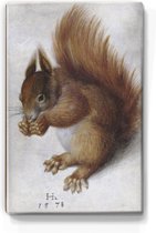 Rode eekhoorn - Hans Hoffmann - 19,5 x 30 cm - Niet van echt te onderscheiden schilderijtje op hout - Mooier dan een print op canvas - Laqueprint.