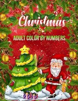 Christmas Adult Color By Numbers