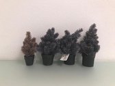 Kunstplanten - vier stuks - drie paarse en een bruine - in zwarte potjes - met LED lichtsnoer over de planten heen
