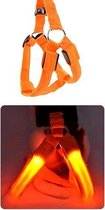 LED - Honden - Tuigje - Oranje - M
