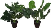 Kunstplanten - Set Van 2 Stuks! - Monstera En Calathea - Nepplanten - Kamerplant - Namaakplant - Gatenplant - Met Kwekerspotje