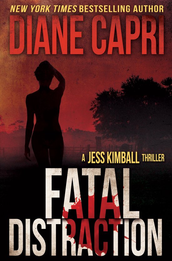 The Jess Kimball Thrillers Series 1 - Fatal Distraction - cover