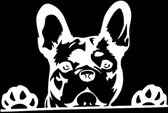 Auto sticker Franse Bulldog - Pootjes omhoog wit AUTOSTICKER