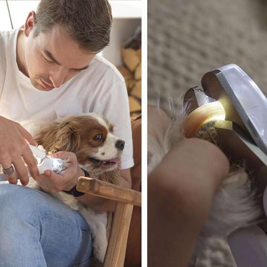 Huisdier nagelknipper - LED lampje - Oplaadbaar via USB - Opvangbakje - Vijl - Honden nagelknipper - Veilig Knippen - RVS - Wit - Merkloos