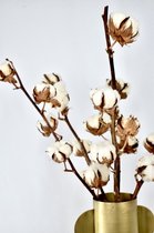 Droogbloemen - Katoen - Katoenbollen - 5 takken - Natuurlijk Bloemen