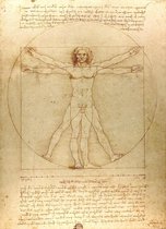 Leonardo Da Vinci poster Vitruvius lichaam tekening 61 x 91.5 cm.